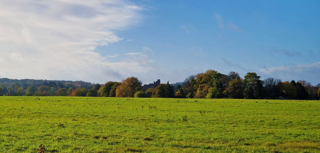 Green Belt in Epsom and&nbsp;Ewell