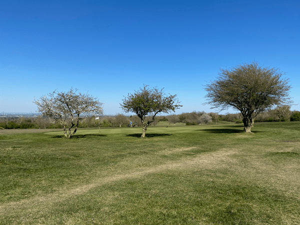 Top Places in&nbsp;Surrey