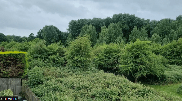 Grafton Stables Safe from&nbsp;Redevelopment