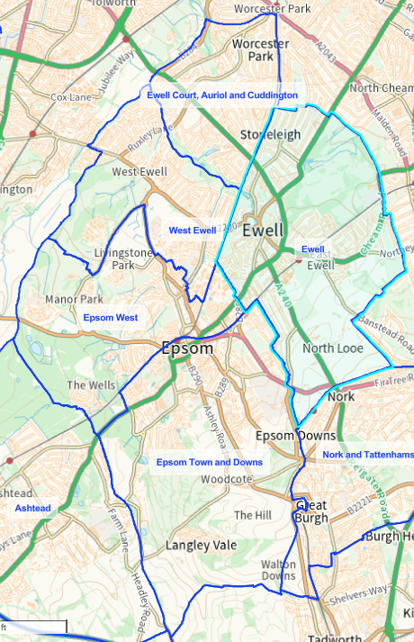 Epsom Ewell Divisions